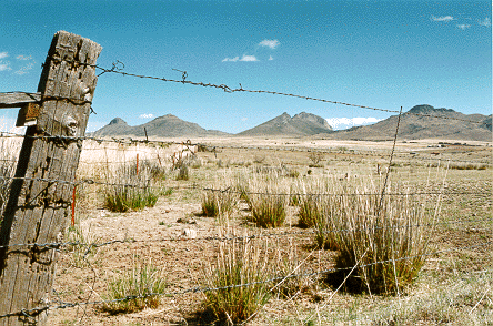 Overgrazing